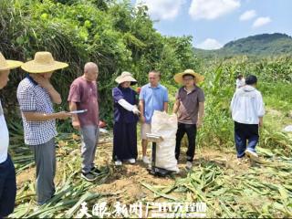 【揭榜挂帅诊疗田间系列报道一】揭榜攻关护“米袋”科技灭鼠稳粮仓