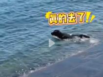 【本周热榜】这一周，威海发生了哪些事呢？（8月11日-8月17日）
