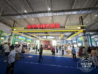 新发路观察+｜透过长春农博会看吉林现代化大农业新图景