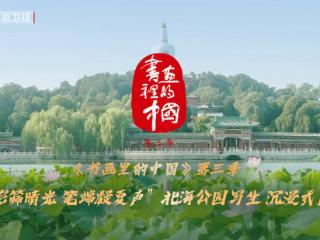 《书画里的中国》第三季直播：北海公园写生，探寻皇家园林的历史脉络