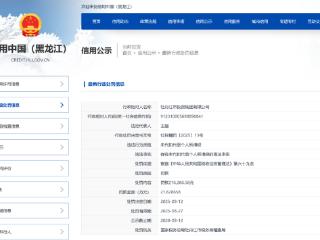 涉个人所得税，牡丹江市投资集团被罚超21万