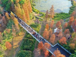全国生态日丨从都市绿心到海丝长廊，解锁广州山水融合之美