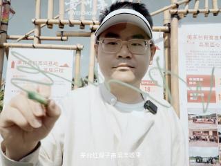沈帅波出席茅台红缨子高粱节探讨产业赋能新模式