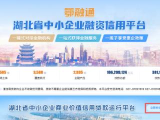 武当山特区：“中小企业价值贷”为企业融资注入金融“活水”