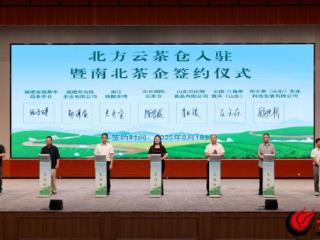 山东省第二届茶叶加工技能大赛暨“莒南白茶”产业推介会召开 为齐鲁粮仓贡献“茶力量”