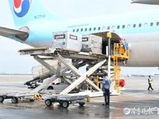 青岛机场持续加密中日空中货运通道