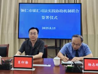 铜仁一企业非法占用农用地，认购30万元司法碳票进行生态补偿
