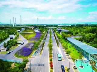 秦新路南侧景观提升工程完工