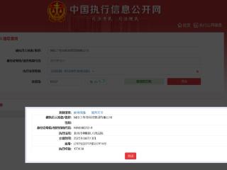 阿拉丁控股集团旗下传奇科技集团被执行