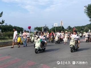 烟台养马岛景区电动车租赁调查，三大痛点待解
