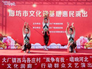 廊坊市文化进基层惠民演出走进大厂