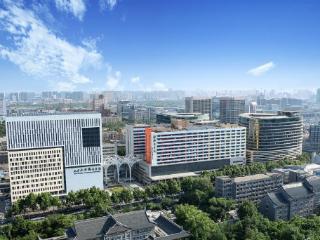 山东大学齐鲁医院“三驾马车”绘就高质量发展新图景