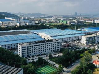 环翠区再添两项省级专利导航项目，知识产权创新引擎持续发力