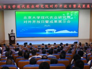 当北大基因遇见齐鲁大地：看一所研究院如何改变农业生态
