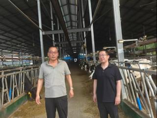 山东农担泰安管理中心：300万元“鲁担惠农贷”助力新百利合作社解难题