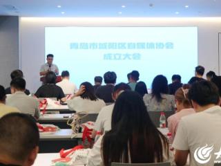 强化行业自律 共建清朗空间 青岛市城阳区自媒体协会成立