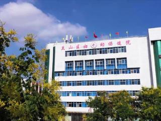 兰山区妇幼保健院：以专业守护生命起点 用担当谱写妇幼华章