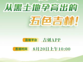 直播预告丨一起逛农博：从黑土地孕育出的五色吉林！