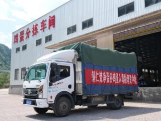24小时新鲜直达！每天500万枚鲜蛋从这里送往大湾区