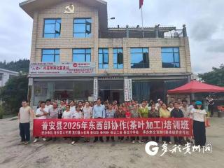 普安举行2025年东西部协作茶叶加工培训
