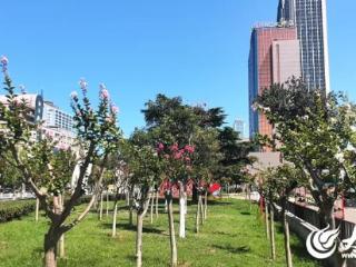 烟台市园林建设养护中心精细化打造浪漫景观