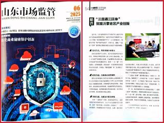 《山东市场监管》刊发临沂市知识产权保护典型做法
