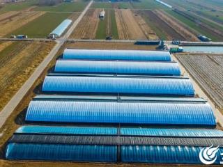 生态筑基 科技赋能：潍坊稷丰智慧农业的循环发展之路