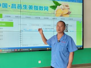 强农先锋丨王西海：打造中国生姜产业智慧化标杆