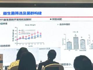 AKK001菌亮相首届精准营养创新大会，原衍生物开启益生菌功能化新篇章