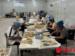 鄄城：政银担合力“贷”动 300万资金注入肉牛产业新动能