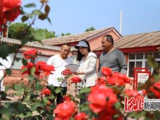 河北迁安：移风易俗润民心 文明新风满乡村