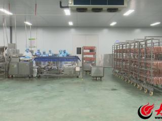 产业链上的山东好品牌｜科技塑造新优势 山东艾琪食品勇闯大健康赛道