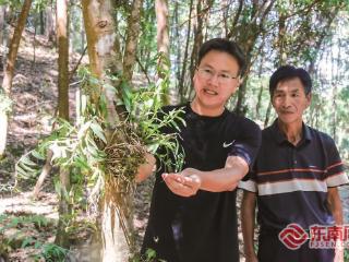 从“一片叶”到“林间百草”的掘金之旅