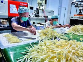 10亿元医疗器械项目试生产