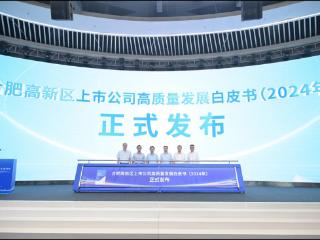 合肥高新区上市公司白皮书发布 35家企业总市值近4600亿元