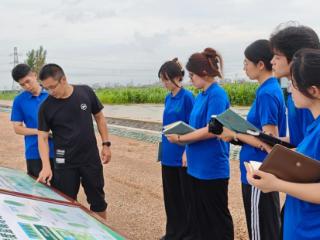 青农大理信学子东营实践感悟——十四年深耕盐碱地：一位计算机毕业生的“麦田答卷”