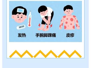 滨州市人民医院提醒：发热、皮疹、关节痛！可能是基孔肯雅热