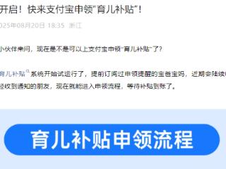 现在就能申领了！育儿补贴最新消息