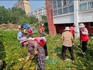 北集坡街道龙泉社区：全维清洁焕新颜共筑宜居幸福家