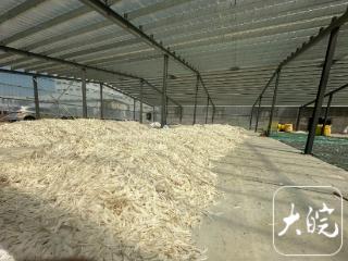 原材料价格“高烧不退”，看“羽毛羽绒之乡”如何破局
