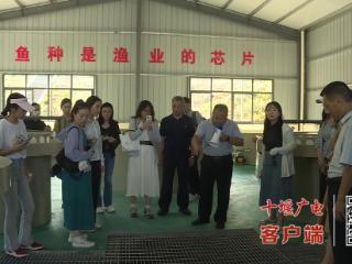 湖北省地理标志“底蕴寻源问楚水”新闻行走进十堰