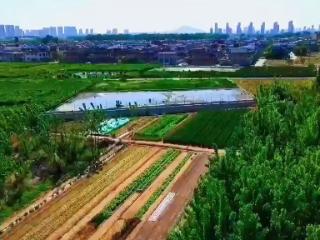 一河清水映初心——泰山区徐家楼街道王家店村书记守河护绿记