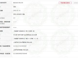 上海百斯特能源发展有限公司违规被罚
