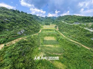交通建设临时用地用完会怎样？看全国高速公路最长连接线土地复垦创新实践