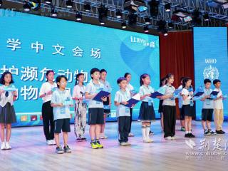 小学生代表自信登台 世界青少年模联大会展风采