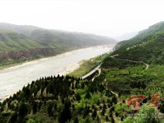大河奔涌万象新|王永红：河畔悬崖上 青绿满山头