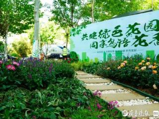 济南历下区“共建花园”：方寸之地绽放社区治理新图景