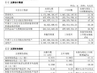 净利润几近腰斩，紫燕食品2025年上半年营收净利双降