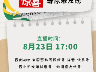 直播预告｜探秘新民大街：那些藏在街角的惊喜等你来发现