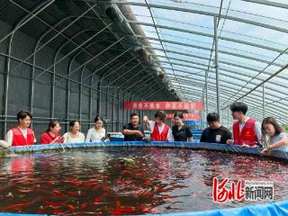 河北乐亭：打造立体化服务平台 促进学子与家乡“双向奔赴”